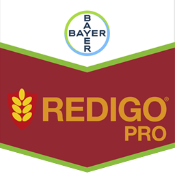 Redigo Pro logo
